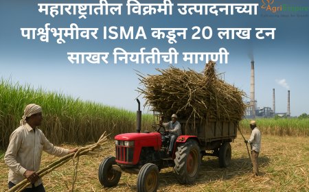 महाराष्ट्रातील विक्रमी उत्पादनाच्या पार्श्वभूमीवर ISMA कडून 20 लाख टन साखर निर्यातीची मागणी