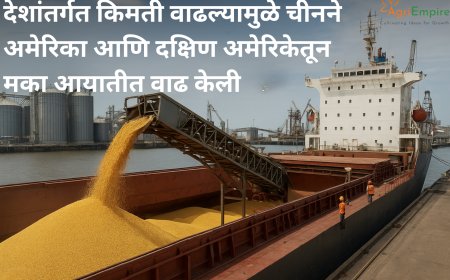 देशांतर्गत किमती वाढल्यामुळे चीनने अमेरिका आणि दक्षिण अमेरिकेतून मका आयातीत वाढ केली