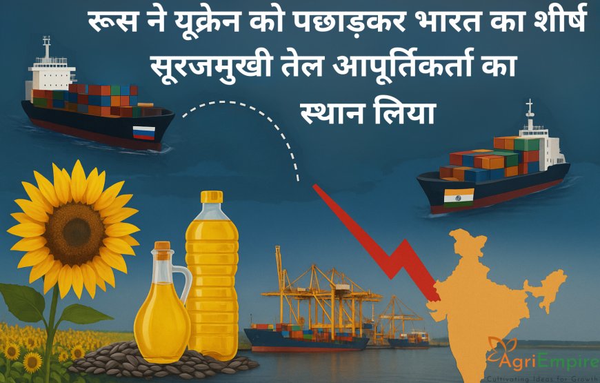 रूस ने यूक्रेन को पछाड़कर भारत का शीर्ष सूरजमुखी तेल आपूर्तिकर्ता का स्थान लिया