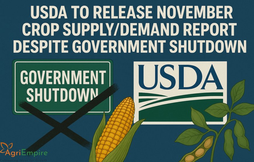 USDA to Release November Crop Supply/Demand Report Despite Government Shutdown