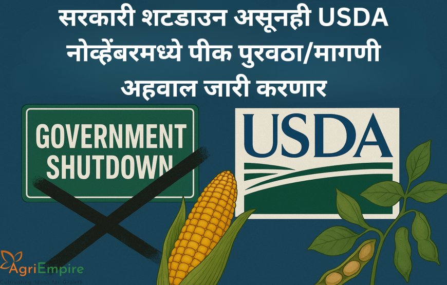 सरकारी शटडाउन असूनही USDA नोव्हेंबरमध्ये पीक पुरवठा/मागणी अहवाल जारी करणार