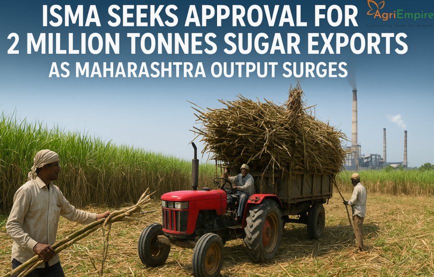 ISMA Seeks Approval for 2 Million Tonnes Sugar Exports as Maharashtra Output Surges