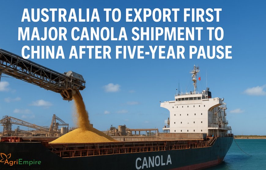 Australia to Export First Major Canola Shipment to China After Five-Year Pause