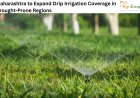 Maharashtra to Expand Drip Irrigation Coverage in Drought-Prone Regions