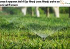 महाराष्ट्र के सूखाग्रस्त क्षेत्रों में ड्रिप सिंचाई (टपक सिंचाई) कवरेज का विस्तार करेगी सरकार