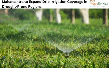 Maharashtra to Expand Drip Irrigation Coverage in Drought-Prone Regions