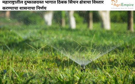 महाराष्ट्रातील दुष्काळग्रस्त भागात ठिबक सिंचन क्षेत्राचा विस्तार करण्याचा शासनाचा निर्णय