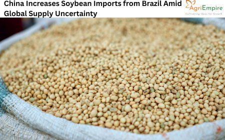 China Increases Soybean Imports from Brazil Amid Global Supply Uncertainty