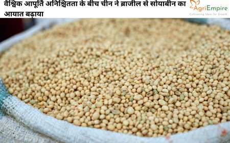 वैश्विक आपूर्ति अनिश्चितता के बीच चीन ने ब्राजील से सोयाबीन का आयात बढ़ाया