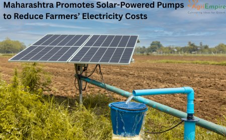 Maharashtra Promotes Solar-Powered Pumps to Reduce Farmers’ Electricity Costs