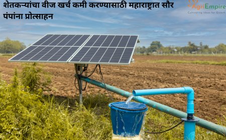शेतकऱ्यांचा वीज खर्च कमी करण्यासाठी महाराष्ट्रात सौर पंपांना प्रोत्साहन