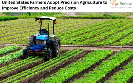 United States Farmers Adopt Precision Agriculture to Improve Efficiency and Reduce Costs