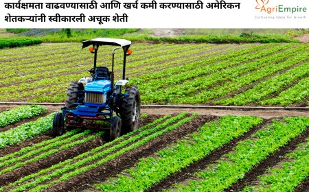 कार्यक्षमता वाढवण्यासाठी आणि खर्च कमी करण्यासाठी अमेरिकन शेतकऱ्यांनी स्वीकारली अचूक शेती