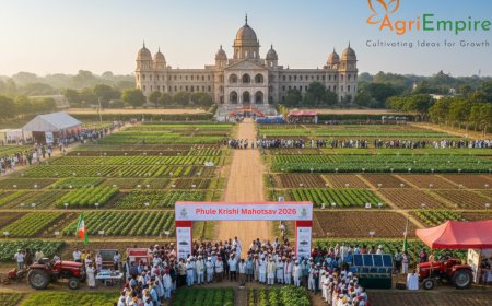Phule Krishi Mahotsav 2026 Showcases Live Crop Demonstrations and Advanced Farm Technologies in Maharashtra