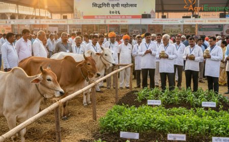 Siddhagiri Krishi Mahotsav 2026 Highlights Natural Farming and Indigenous Cow Conservation in Maharashtra
