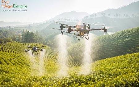 Maharashtra Promotes AI-Driven Farming to Modernize Agriculture Sector