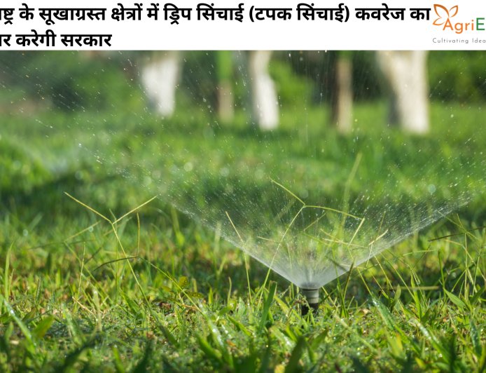 महाराष्ट्र के सूखाग्रस्त क्षेत्रों में ड्रिप सिंचाई (टपक सिंचाई) कवरेज का विस्तार करेगी सरकार