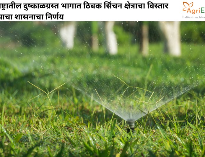 महाराष्ट्रातील दुष्काळग्रस्त भागात ठिबक सिंचन क्षेत्राचा विस्तार करण्याचा शासनाचा निर्णय