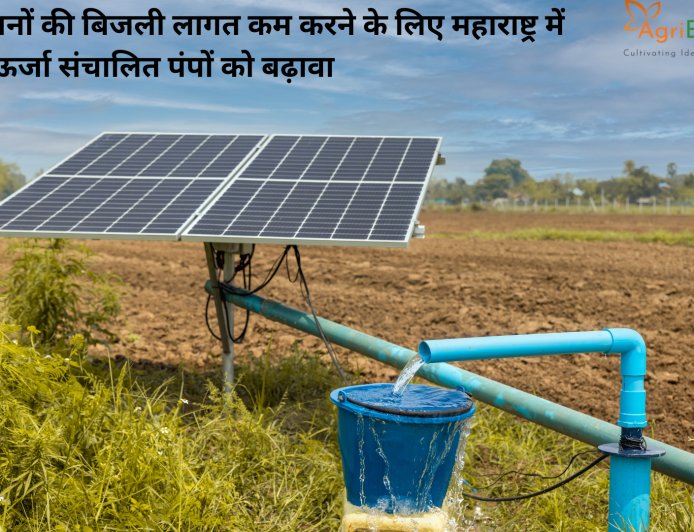 किसानों की बिजली लागत कम करने के लिए महाराष्ट्र में सौर ऊर्जा संचालित पंपों को बढ़ावा