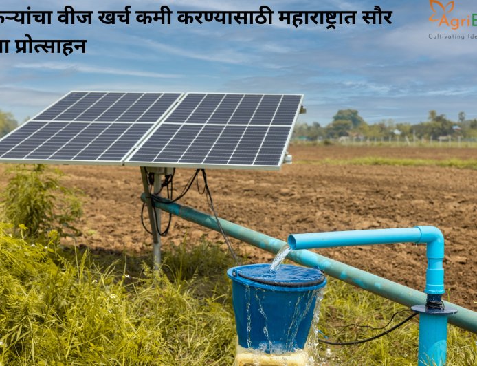 शेतकऱ्यांचा वीज खर्च कमी करण्यासाठी महाराष्ट्रात सौर पंपांना प्रोत्साहन