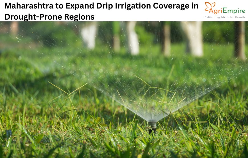 Maharashtra to Expand Drip Irrigation Coverage in Drought-Prone Regions