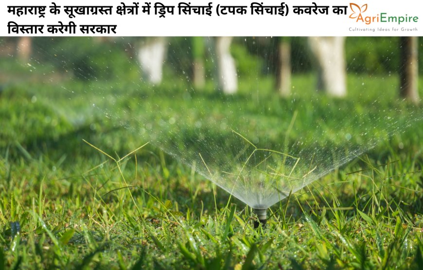महाराष्ट्र के सूखाग्रस्त क्षेत्रों में ड्रिप सिंचाई (टपक सिंचाई) कवरेज का विस्तार करेगी सरकार