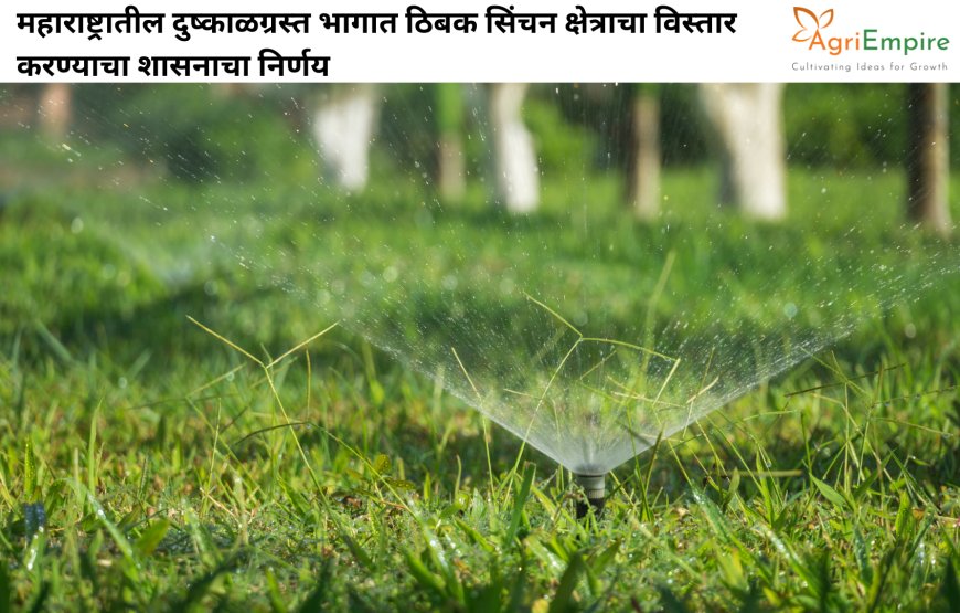 महाराष्ट्रातील दुष्काळग्रस्त भागात ठिबक सिंचन क्षेत्राचा विस्तार करण्याचा शासनाचा निर्णय