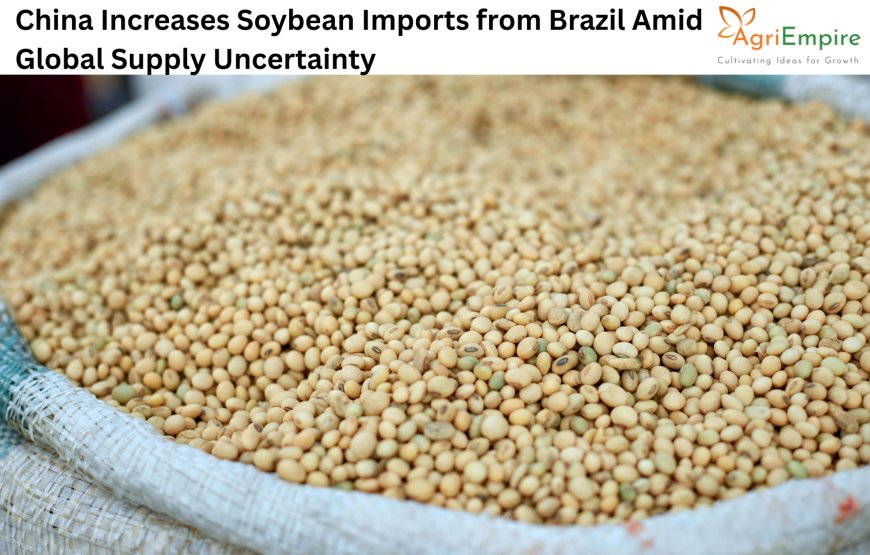China Increases Soybean Imports from Brazil Amid Global Supply Uncertainty