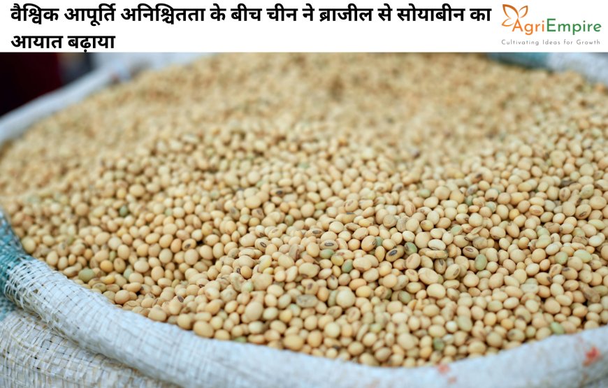 वैश्विक आपूर्ति अनिश्चितता के बीच चीन ने ब्राजील से सोयाबीन का आयात बढ़ाया