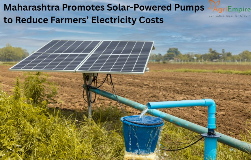 Maharashtra Promotes Solar-Powered Pumps to Reduce Farmers’ Electricity Costs