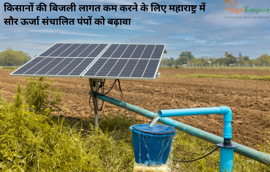 किसानों की बिजली लागत कम करने के लिए महाराष्ट्र में सौर ऊर्जा संचालित पंपों को बढ़ावा