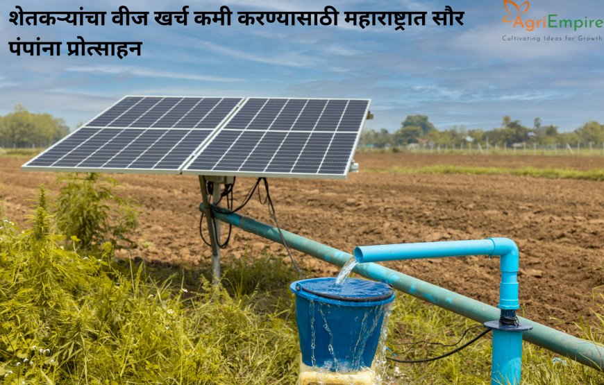 शेतकऱ्यांचा वीज खर्च कमी करण्यासाठी महाराष्ट्रात सौर पंपांना प्रोत्साहन
