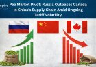 Pea Market Pivot: Russia Outpaces Canada in China’s Supply Chain Amid Ongoing Tariff Volatility