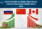 वाटाणा बाजारपेठेचा नवा केंद्रबिंदू: रशियाने कॅनडाला टाकले मागे; चीनच्या पुरवठा साखळीत रशियाचे वर्चस्व