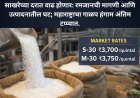 साखरेच्या दरात वाढ होणार: रमजानची मागणी आणि उत्पादनातील घट; महाराष्ट्राचा गाळप हंगाम अंतिम टप्प्यात.