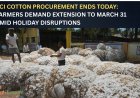 CCI Cotton Procurement Ends Today: Farmers Demand Extension to March 31 Amid Holiday Disruptions
