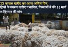 CCI कपास खरीद का आज अंतिम दिन: छुट्टियों के कारण खरीद प्रभावित; किसानों ने की ३१ मार्च तक विस्तार की मांग