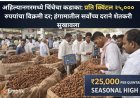 अहिल्यानगरमध्ये चिंचेचा कडाका: प्रति क्विंटल २५,००० रुपयांचा विक्रमी दर; हंगामातील सर्वोच्च दराने शेतकरी सुखावला