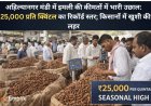 अहिल्यानगर मंडी में इमली की कीमतों में भारी उछाल: ₹25,000 प्रति क्विंटल का रिकॉर्ड स्तर; किसानों में खुशी की लहर
