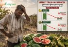 Market Crash in Khandesh: Banana and Watermelon Prices Plummet to Record Lows Amid Middle East Conflict