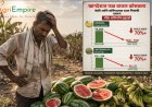 खानदेशात फळ बाजाराचा कोसळला डोलारा: पश्चिम आशियातील युद्धामुळे केळी आणि कलिंगडाच्या दरात निचांकी घसरण