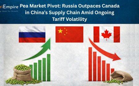 Pea Market Pivot: Russia Outpaces Canada in China’s Supply Chain Amid Ongoing Tariff Volatility