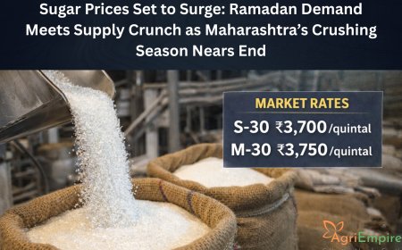 Sugar Prices Set to Surge: Ramadan Demand Meets Supply Crunch as Maharashtra’s Crushing Season Nears End