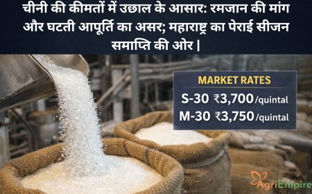 चीनी की कीमतों में उछाल के आसार: रमजान की मांग और घटती आपूर्ति का असर; महाराष्ट्र का पेराई सीजन समाप्ति की ओर।