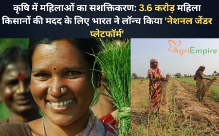 कृषि में महिलाओं का सशक्तिकरण: 3.6 करोड़ महिला किसानों की मदद के लिए भारत ने लॉन्च किया 'नेशनल जेंडर प्लेटफॉर्म'