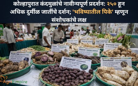 कोल्हापुरात कंदमुळांचे नावीन्यपूर्ण प्रदर्शन: २५० हून अधिक दुर्मीळ जातींचे दर्शन; 'भविष्यातील पिके' म्हणून संशोधकांचे लक्ष
