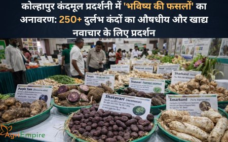 कोल्हापुर कंदमूल प्रदर्शनी में 'भविष्य की फसलों' का अनावरण: 250+ दुर्लभ कंदों का औषधीय और खाद्य नवाचार के लिए प्रदर्शन