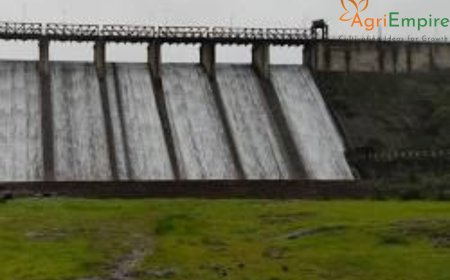 Relief for Pune Farmers: Maharashtra Government Approves Water Reallocation for Kalmodi Project; 6,622 Hectares to Gain Irrigation