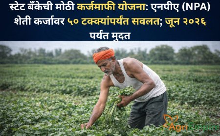 स्टेट बँकेची मोठी कर्जमाफी योजना: एनपीए (NPA) शेती कर्जावर ५० टक्क्यांपर्यंत सवलत; जून २०२६ पर्यंत मुदत