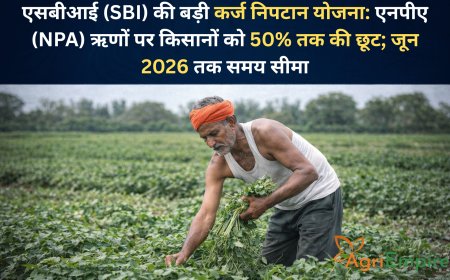 एसबीआई (SBI) की बड़ी कर्ज निपटान योजना: एनपीए (NPA) ऋणों पर किसानों को 50% तक की छूट; जून 2026 तक समय सीमा